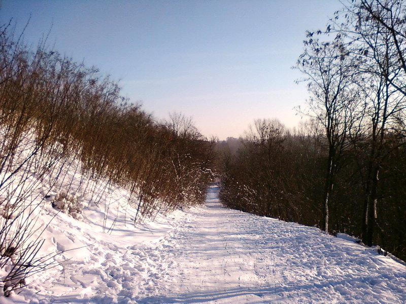 Podjazd pod Górkę Rogowską