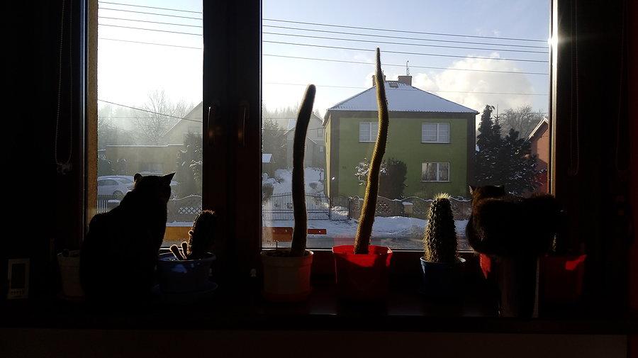 Ładne kwiatki ;-)