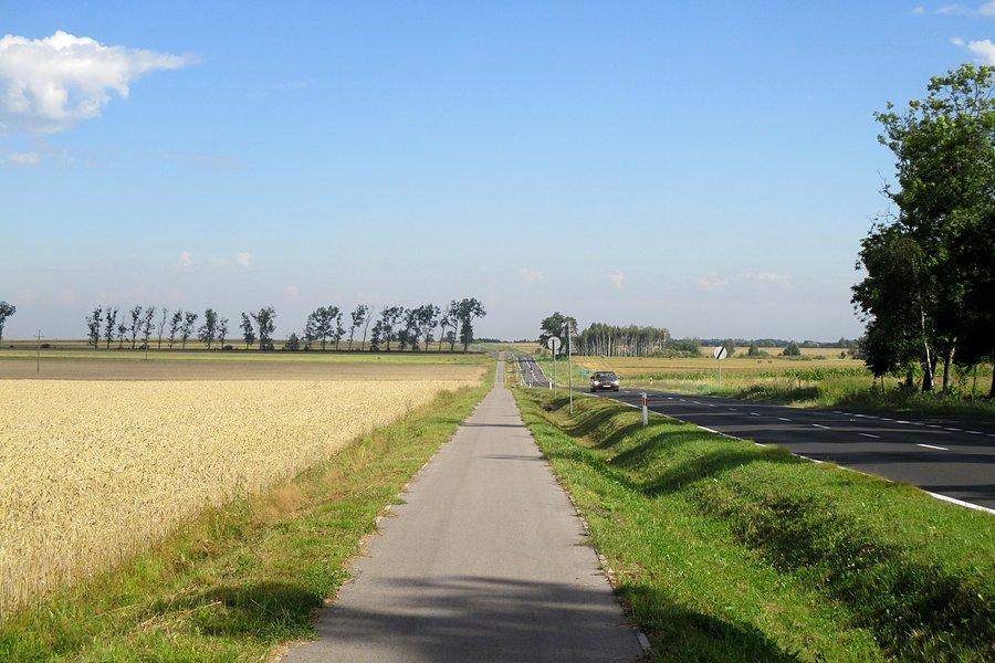 Green Velo między Włodawą a Sławatyczami