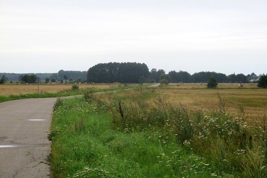 Podlaska równina