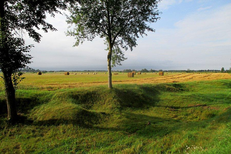 Podlaskie żniwa