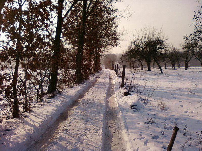 Ul. Traktorowa