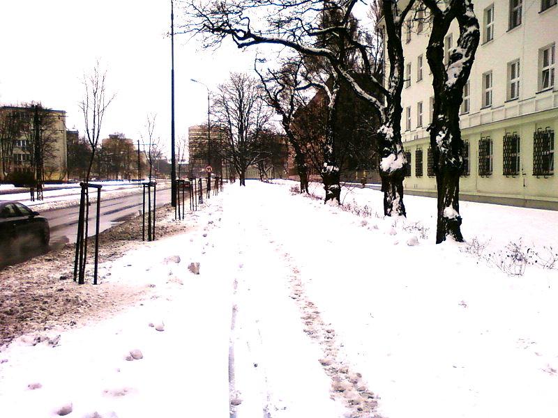 DDR Zielona