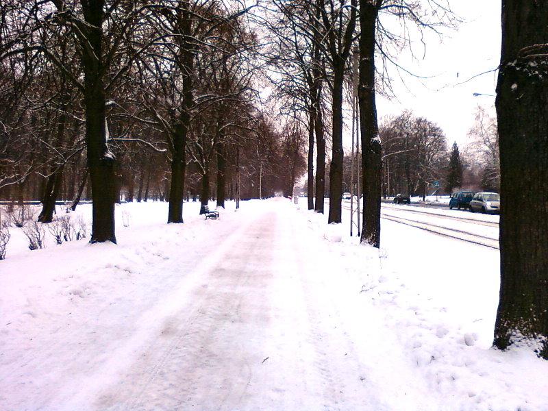 DDR Konstantynowska