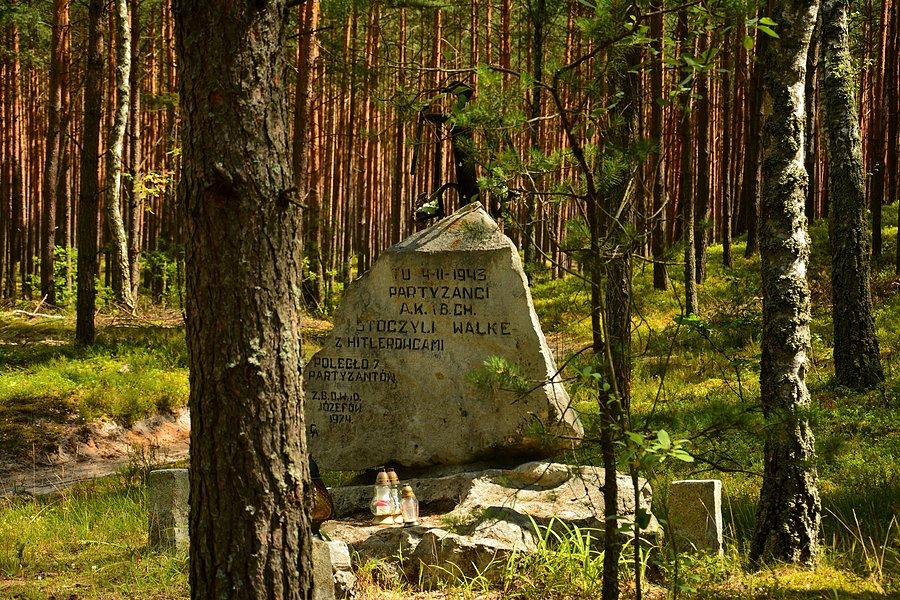 Pomnik partyzantów w Roztoczańskim PN