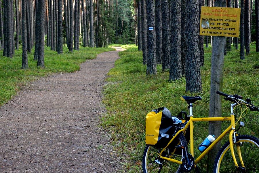 Ostrzeżenia na szlaku