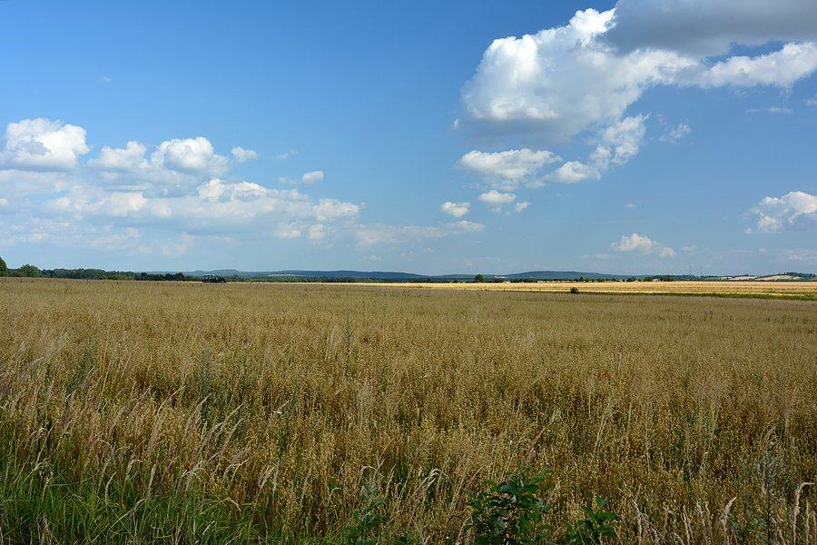 Roztoczański krajobraz