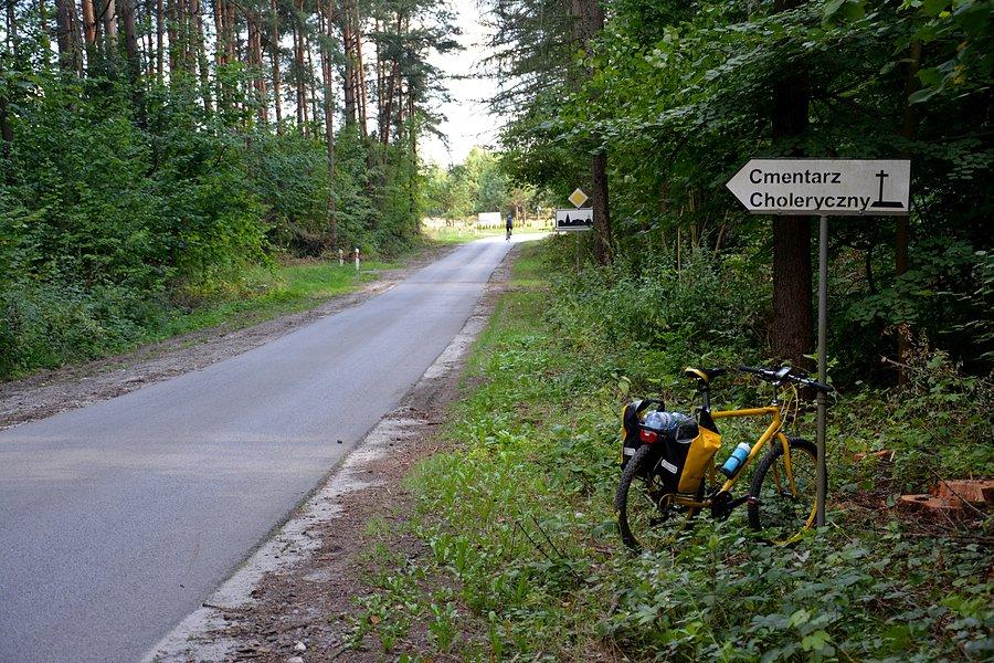 Rogatki Jędrzejówki