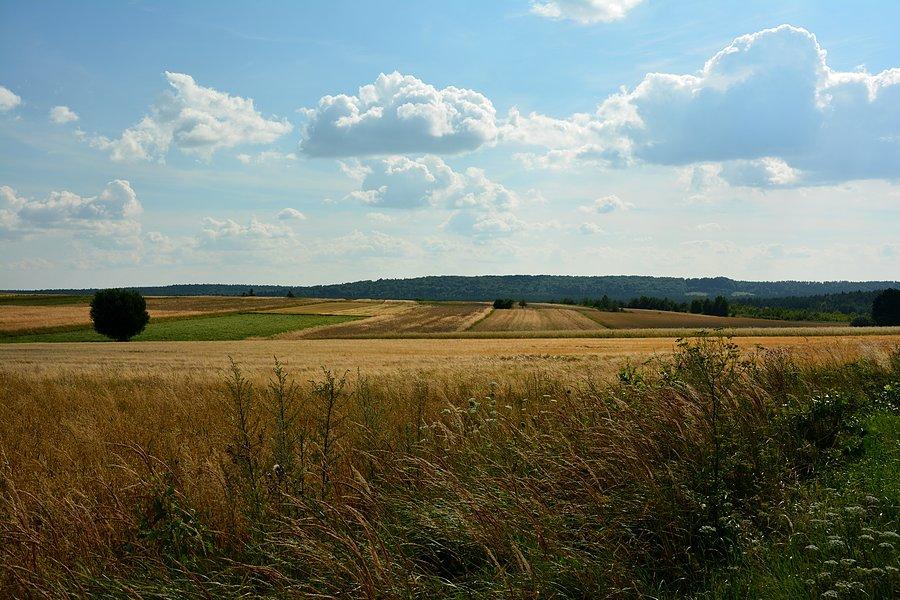 Roztoczański widok