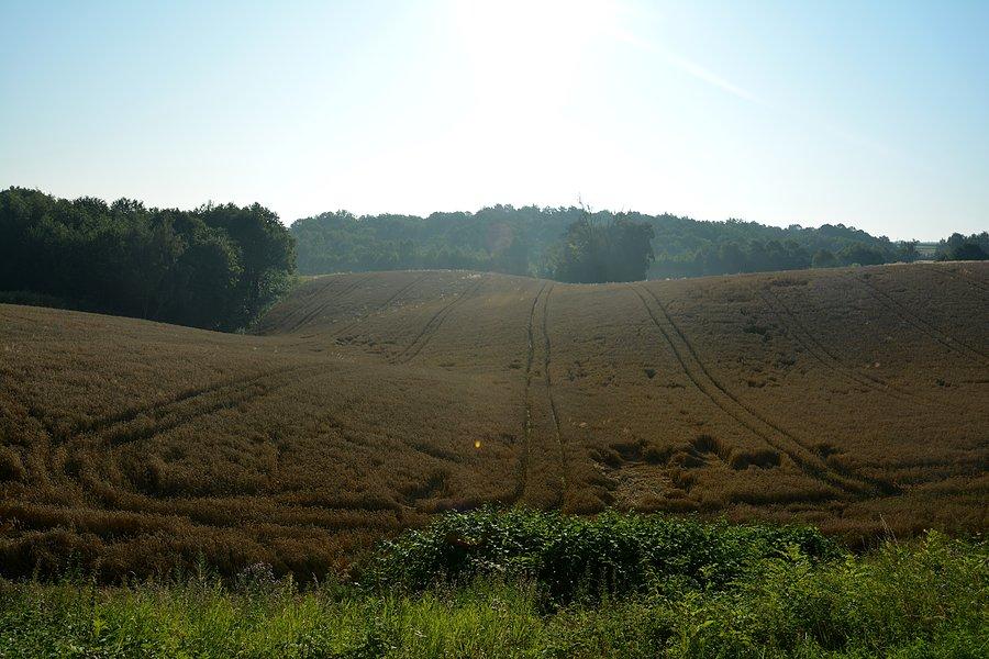 Pofalowanie