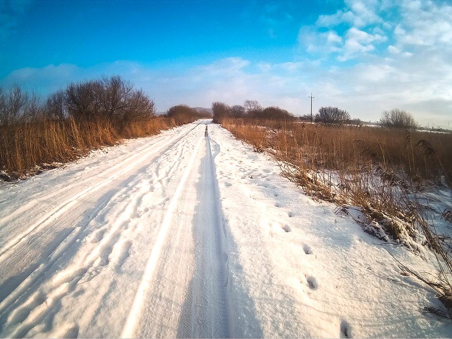 Wzdłuż rzeki Redy