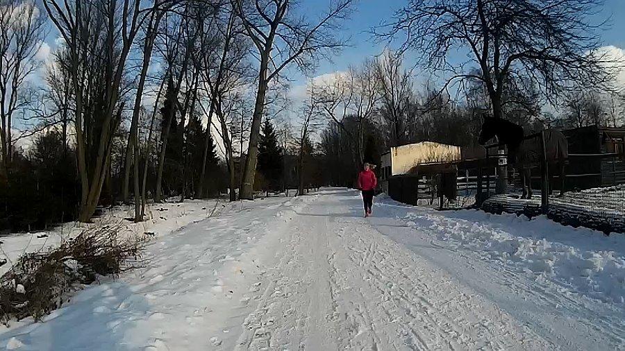 Nawet konie chodzą w ubrankach