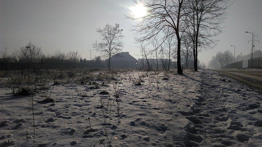 Podczas Syberyjskich mrozów - koło lasu - TomaszówM.styczeń 2017