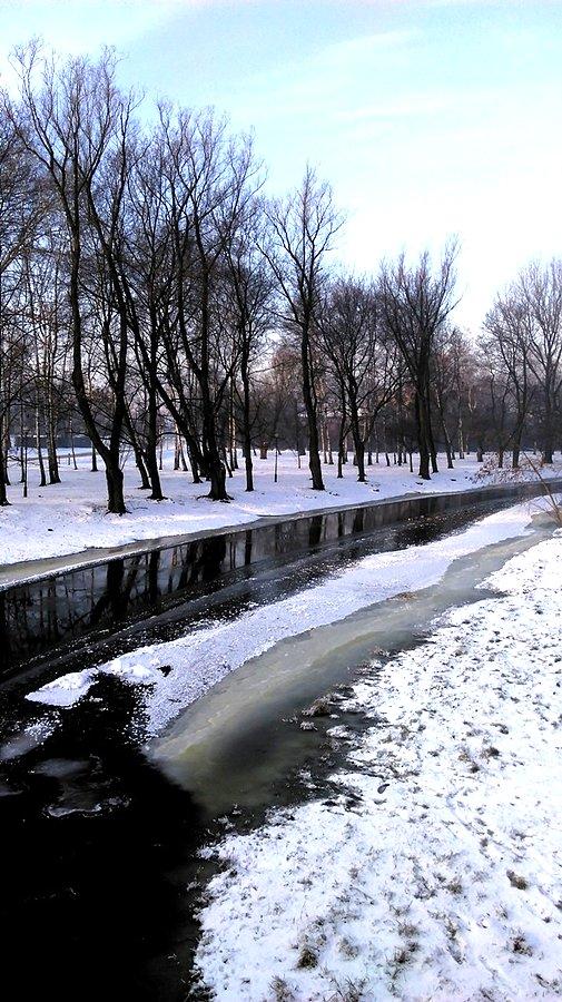 Podczas Syberyjskich mrozów - w Parku Bulwary - styczeń 2017