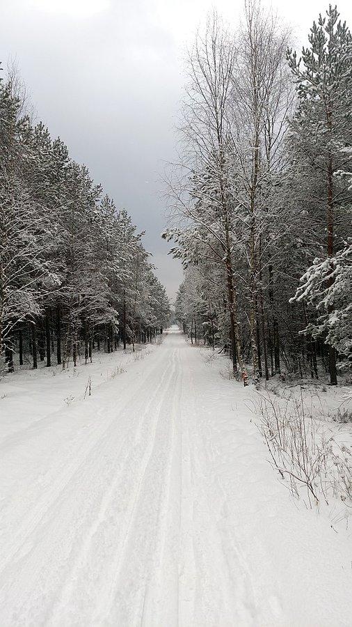 Na pożarówce