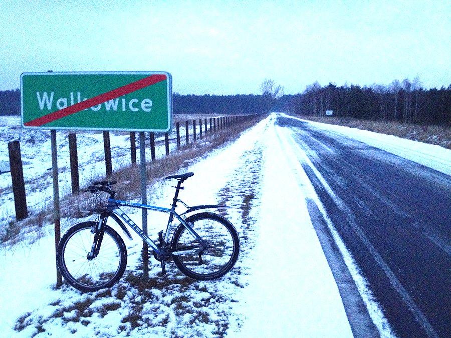 Okolice żwirowni w Walkowicach