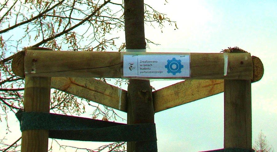 Budżet partycypacyjny