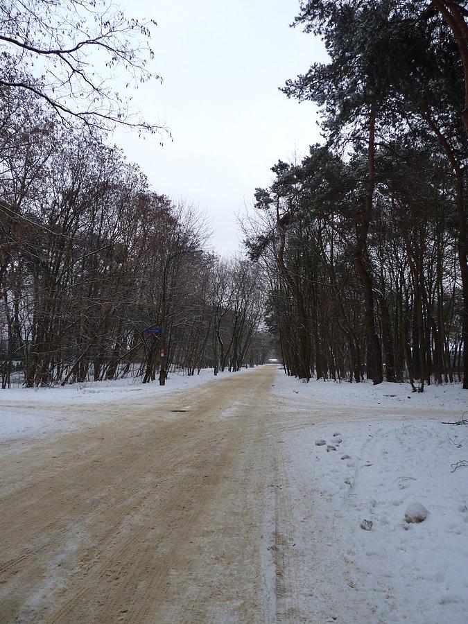 Ul. Kleeberga