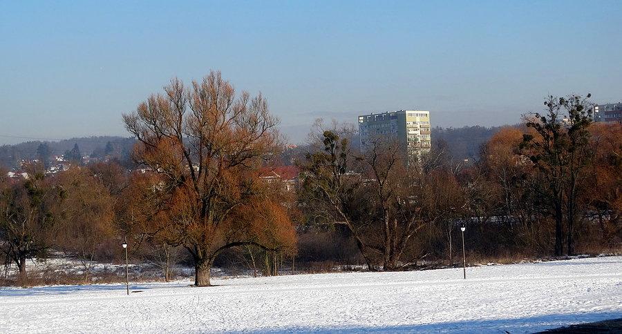 Tradycyjny widoczek ze skraju Lasu Arkońskiego