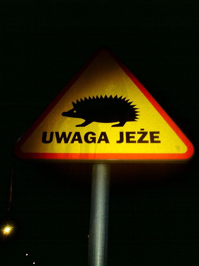 Uwaga jeże