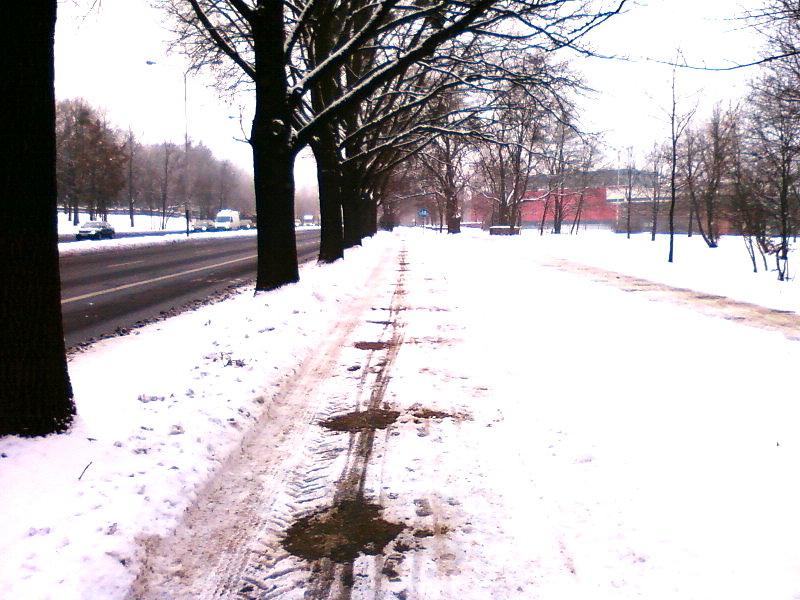 DDR Palki