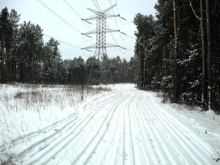 Pięciotorowy odcinek VI Biegu Narciarskiego o Puchar Sokolich Gór