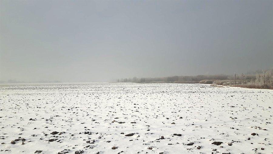 Pola pod śniegiem