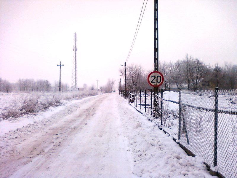 Ul. Kosodrzewiny
