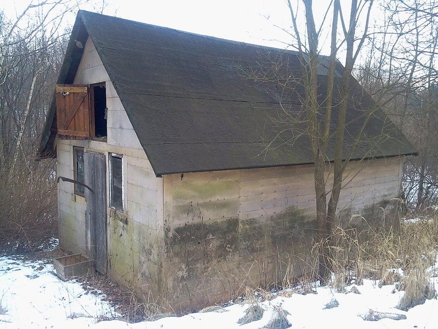 Kosa poleciała