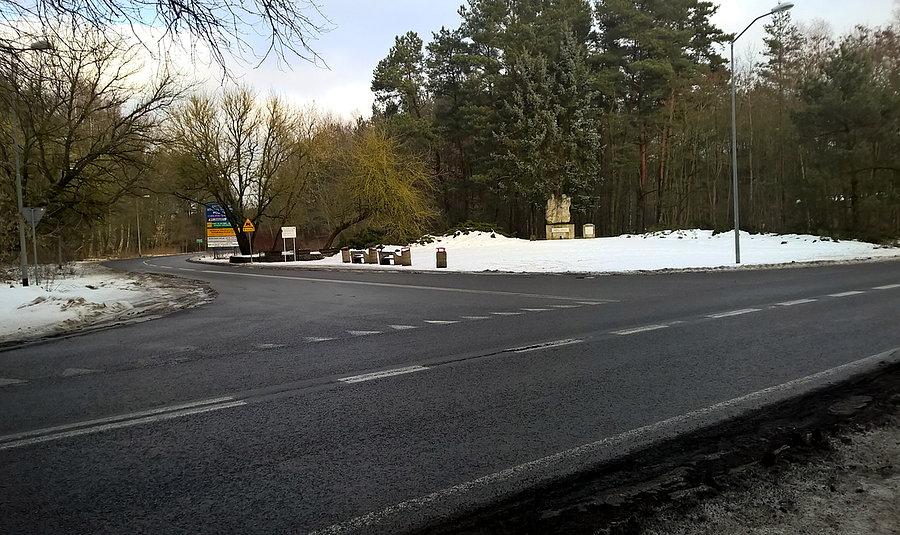 Rozjazd dróg tuż przed Trzeszczynem