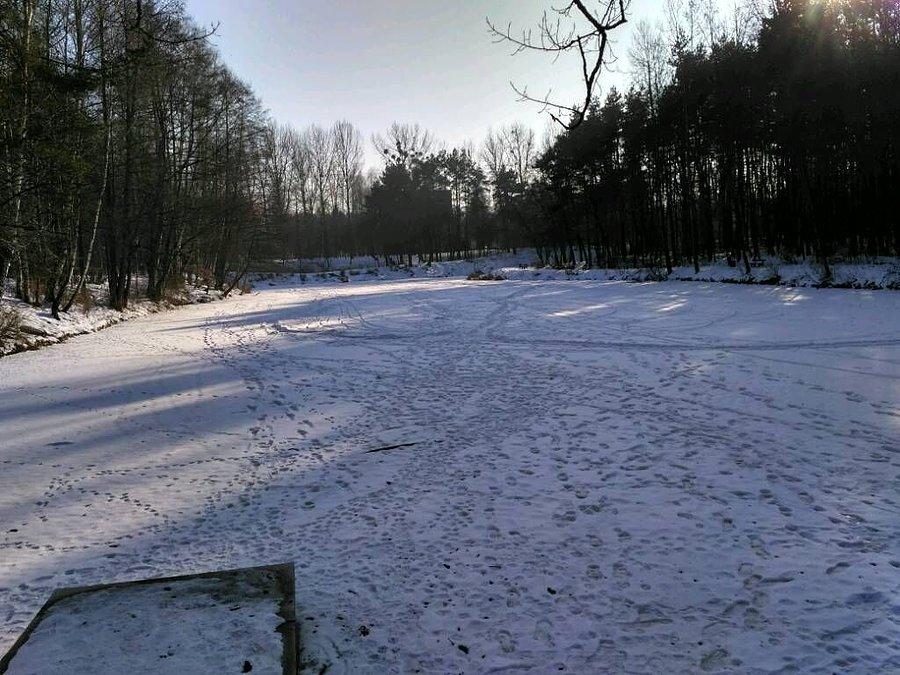 Wracając do domu