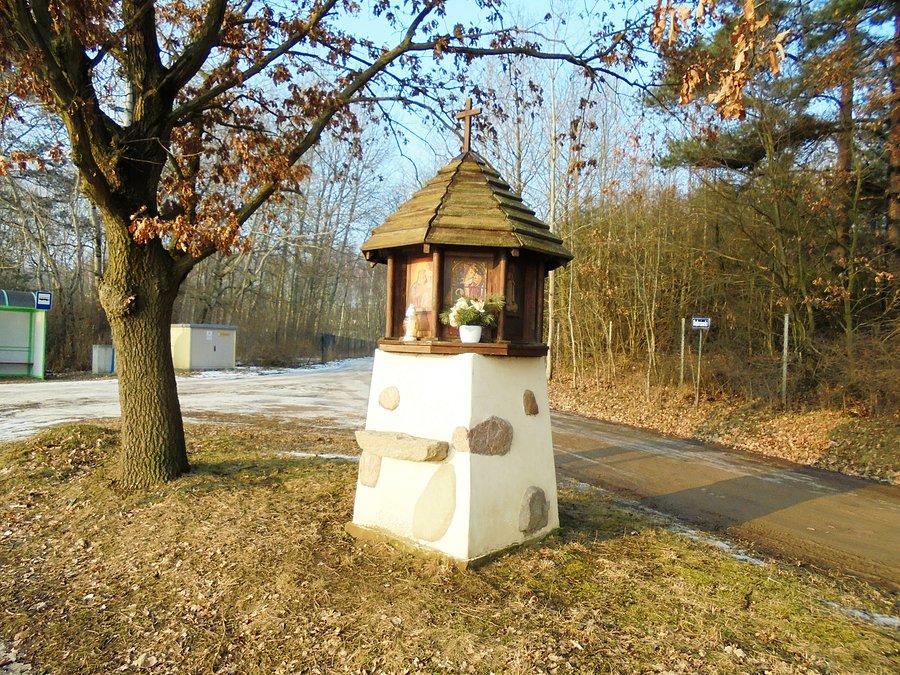 Dębogóra