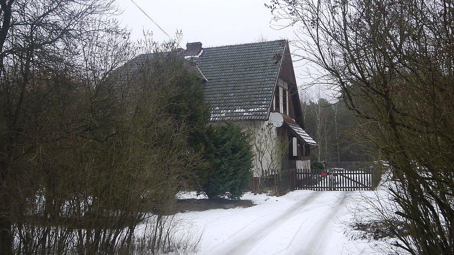 Czarny Bocian 2