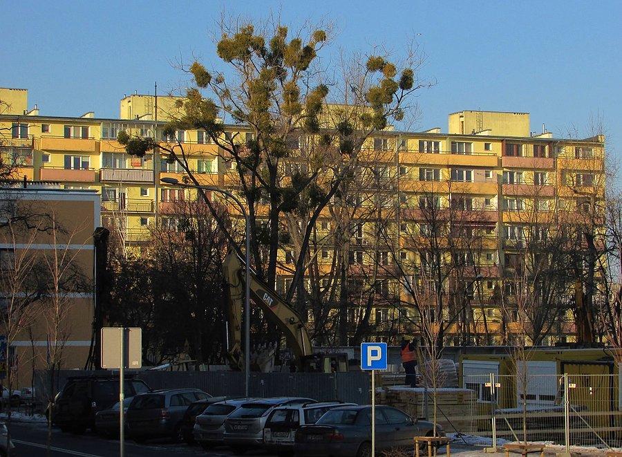 Budowa przy ul. Dzielnej 64