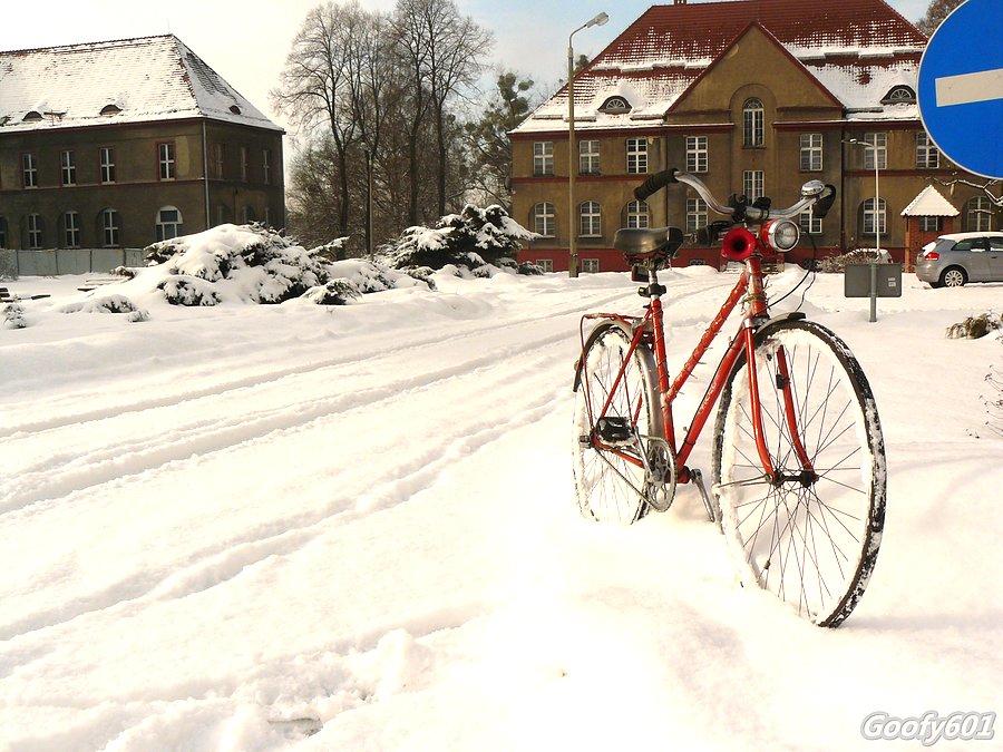 Śnieżna Gazela - odsłona 2017 :)