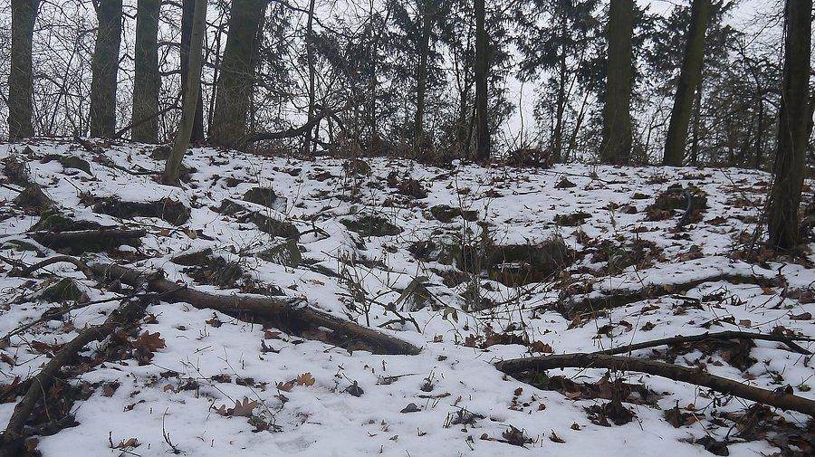 Bukowiec ruiny mauzoleum Gersdorffów