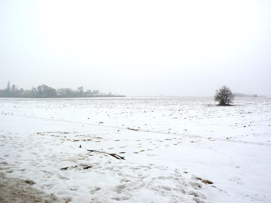 Pole pod śniegiem