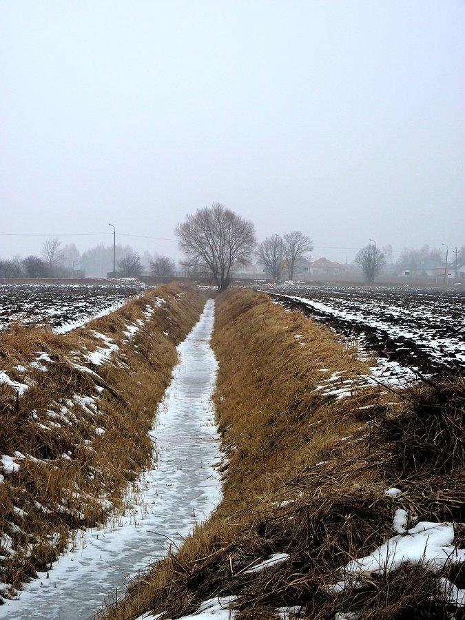 Drzewko nad kanałem w Borzęcinie