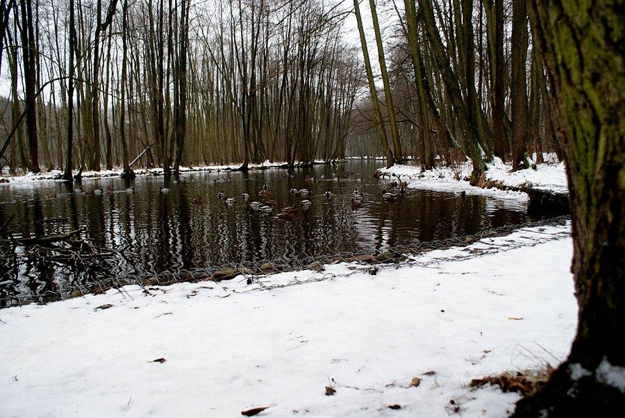 Część Źródeł nie zamarznięta