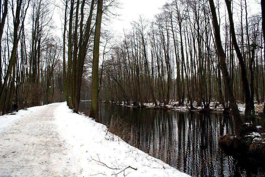 Główna aleja w Rezerwacie prowadzi groblą