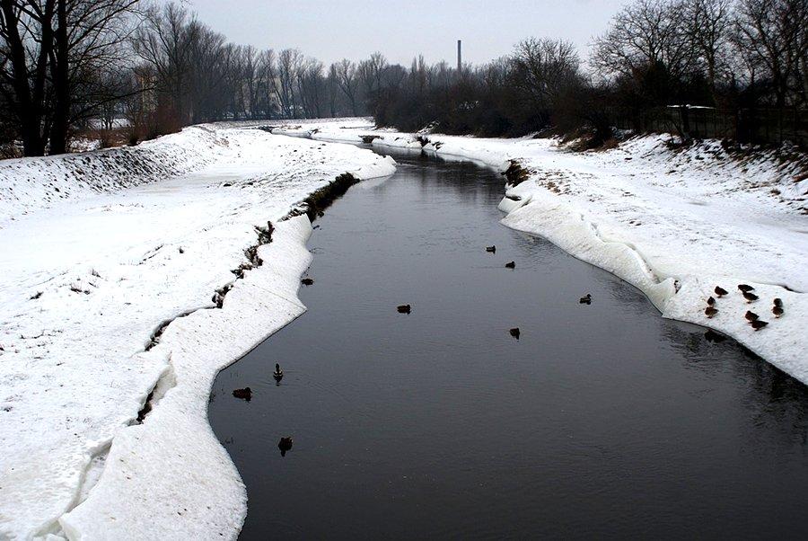 Widok na Wolbórkę z kładki na ul. Zgodnej