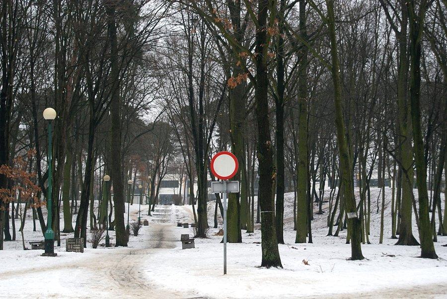 W Parku Michałówek