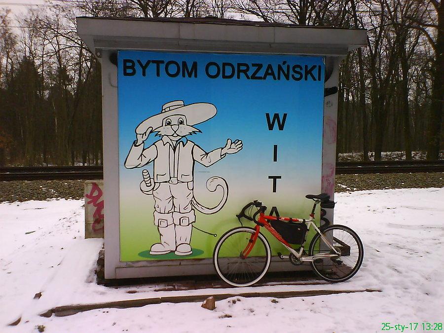 Bytom Odrz. wita kotem (z dedykacją ;) )