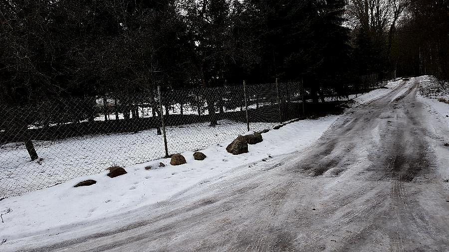 Droga leśna w Kałędze