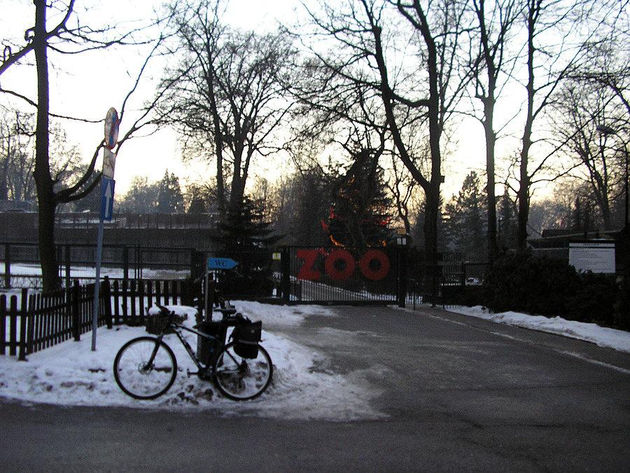Pod ZOO