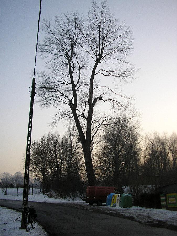 Na przeł. Przegorzalskiej