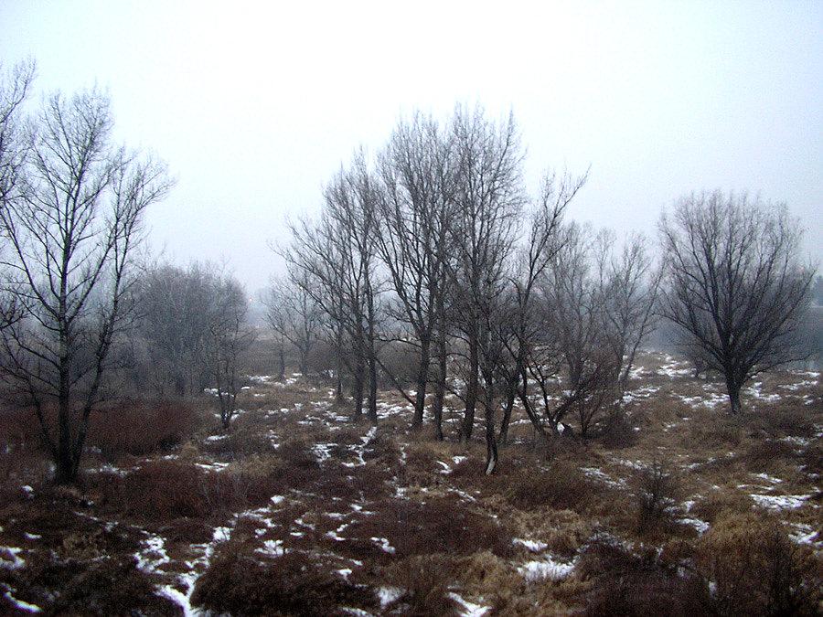 Takie tam, nad Wisłą