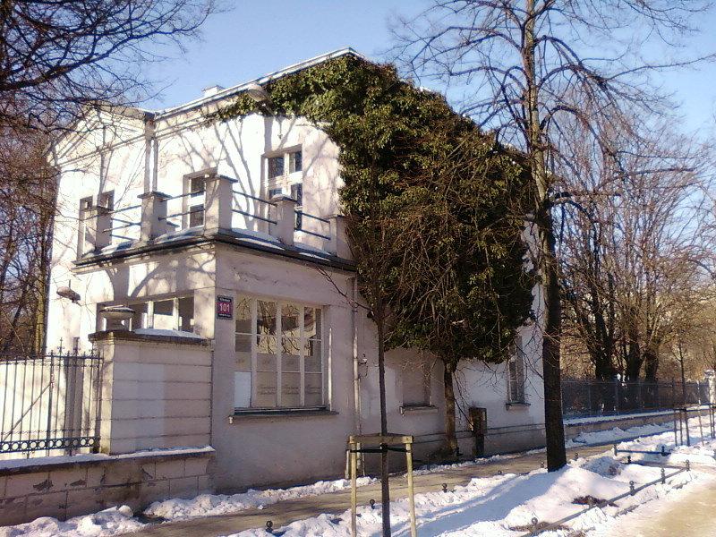 Bluszcz przy Kilińskiego 101 - pomnik przyrody