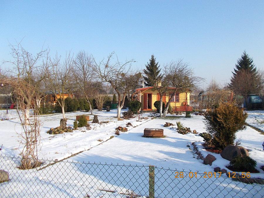 Działka Dareckiego