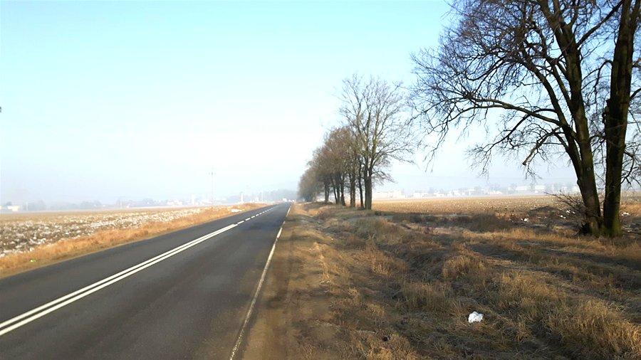 Droga na Leszno + smog